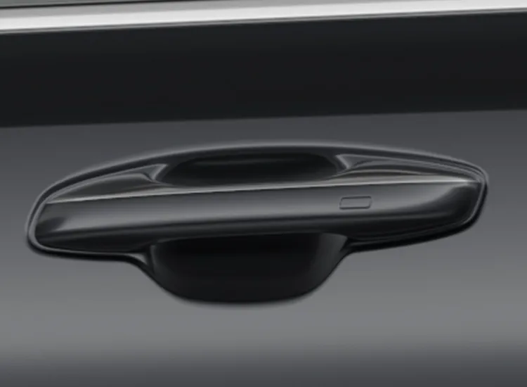 Grab Handles with Touch Sensor & Pocket Lighting