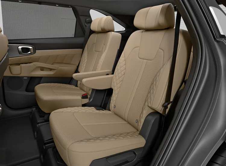 Wing Type Headrest for Captain Seats (6S)
