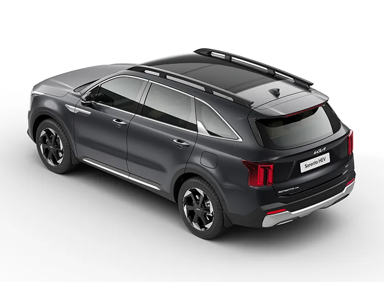 Dual Pane Panoramic Sunroof